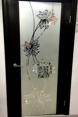 Матовое стекло с рисунком в межкомнатную дверь