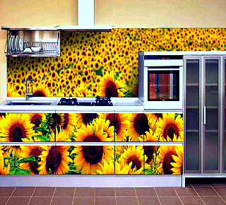 Стеклянные фартуки.