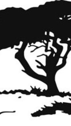  Гнутое стекло для мебели