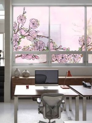 стеклянные перегородки 