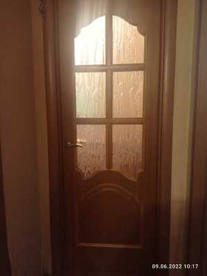 Как выглядит стекло бамбук в дверях