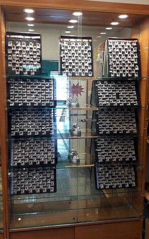 >Витрина на колесах